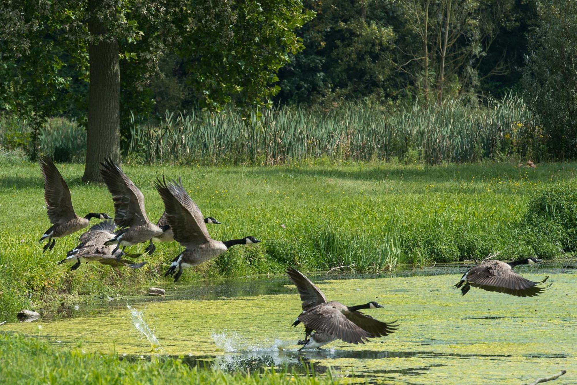 B&B Park7 Wavre - Leuven Huldenberg Bagian luar foto